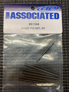 TEAM ASSOCIATED B5 HINGE PIN SET